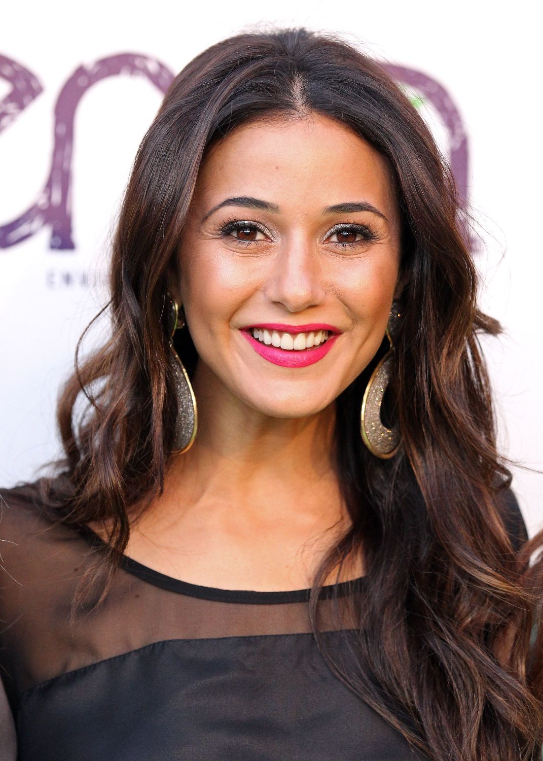 Emmanuelle Chriqui photo #320894