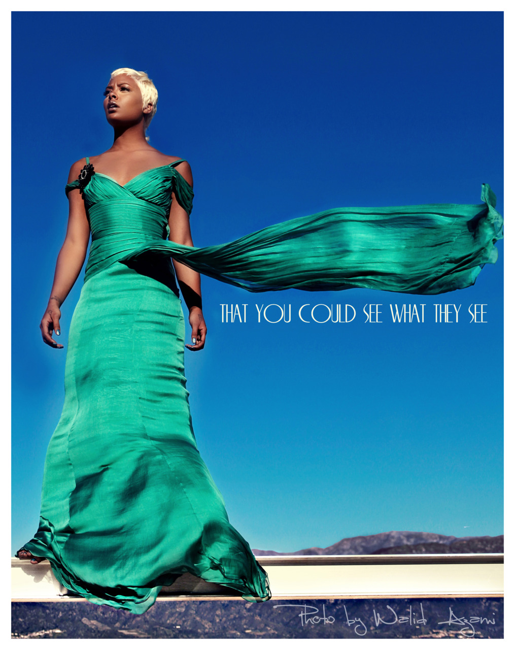 Eva Pigford photo #309617