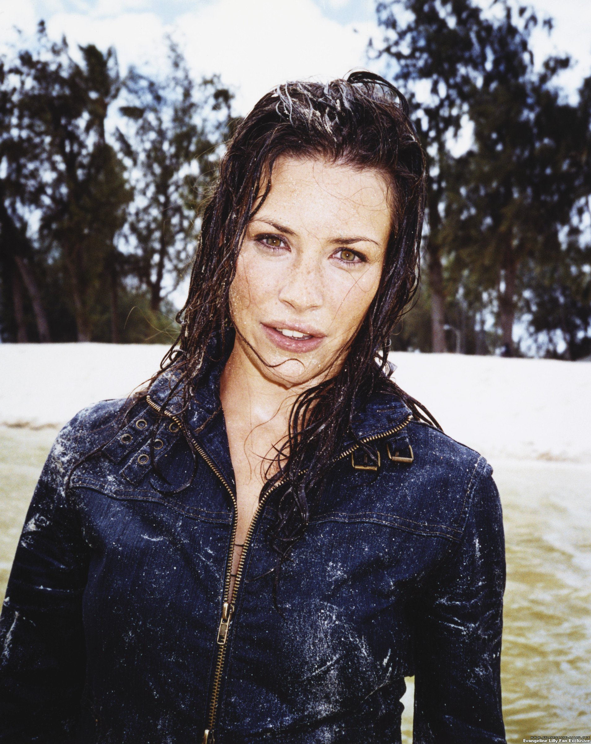 Evangeline Lilly photo #66299