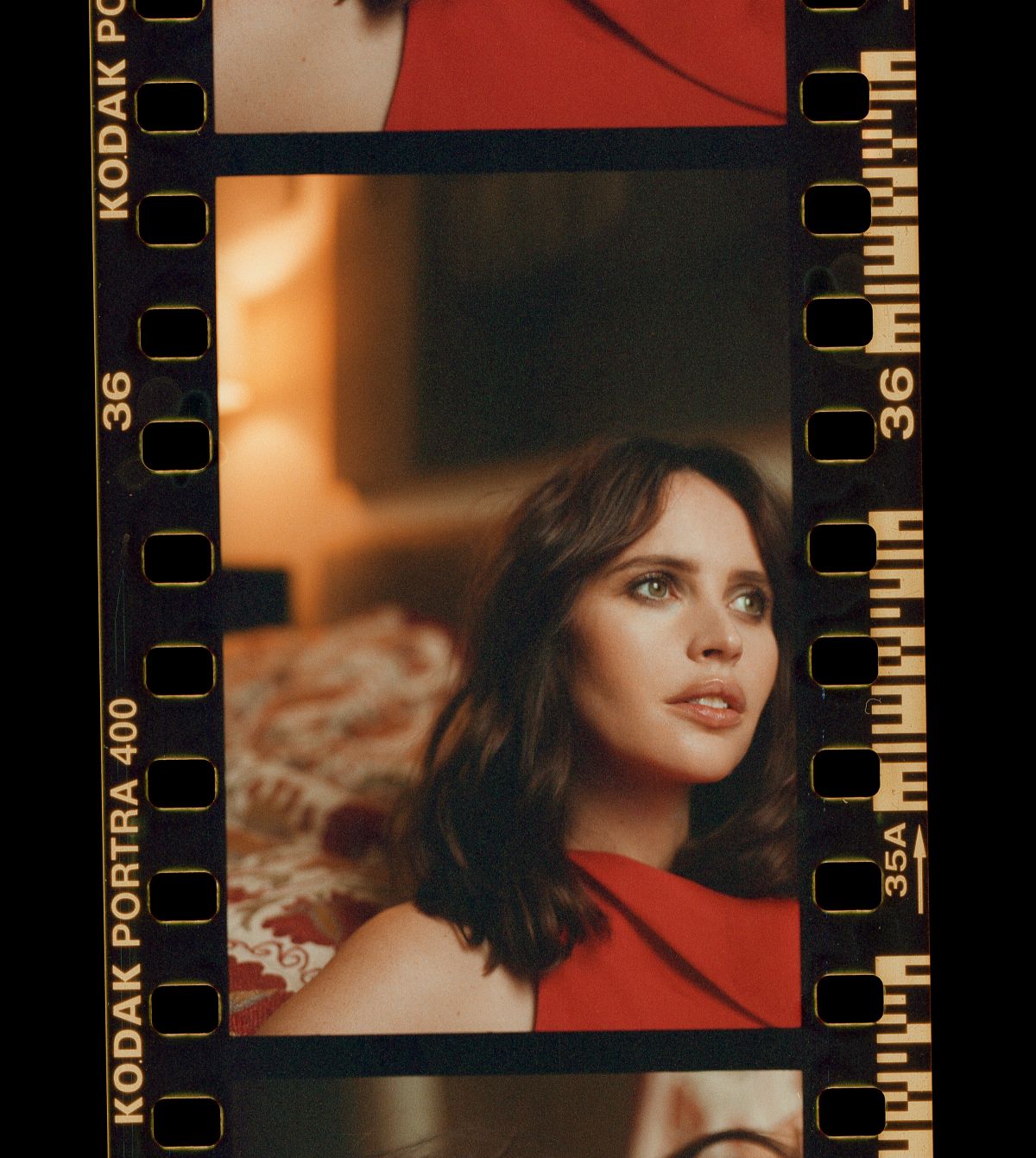 Felicity Jones photo #946655