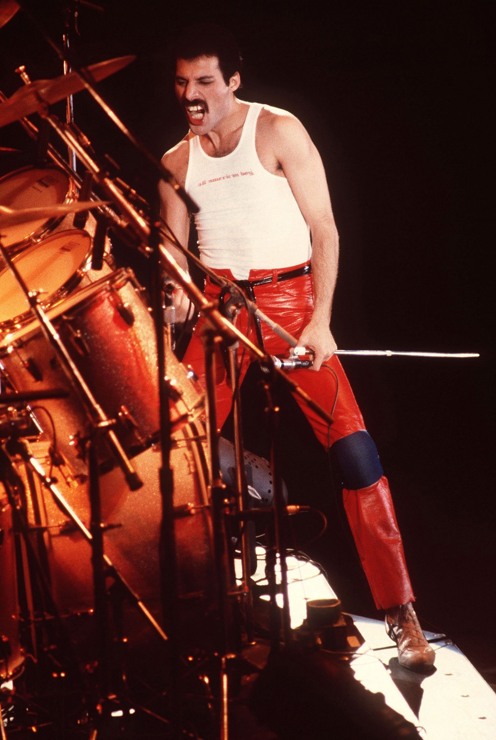 Freddie Mercury photo #173777