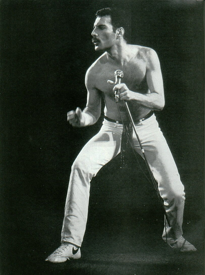 Freddie Mercury photo #173770