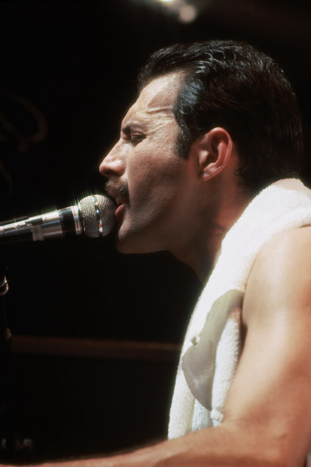 Freddie Mercury photo #173768