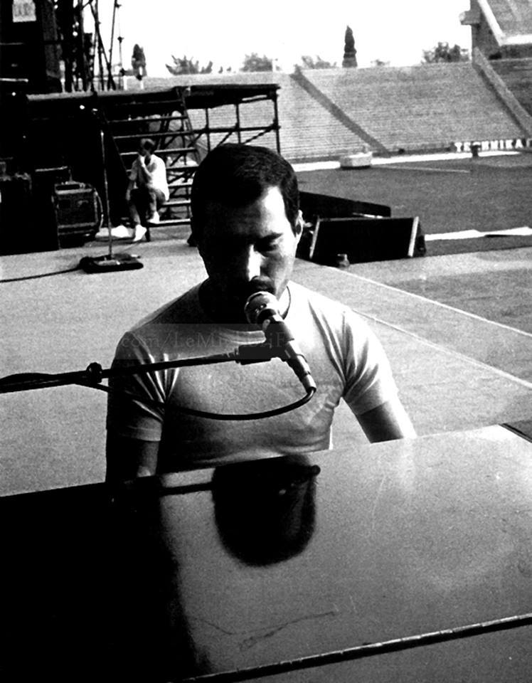 Freddie Mercury photo #599169