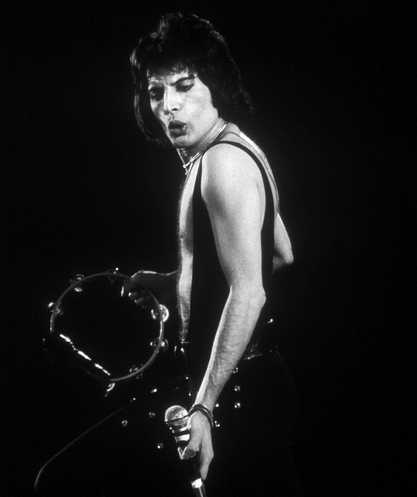 Freddie Mercury photo #599168