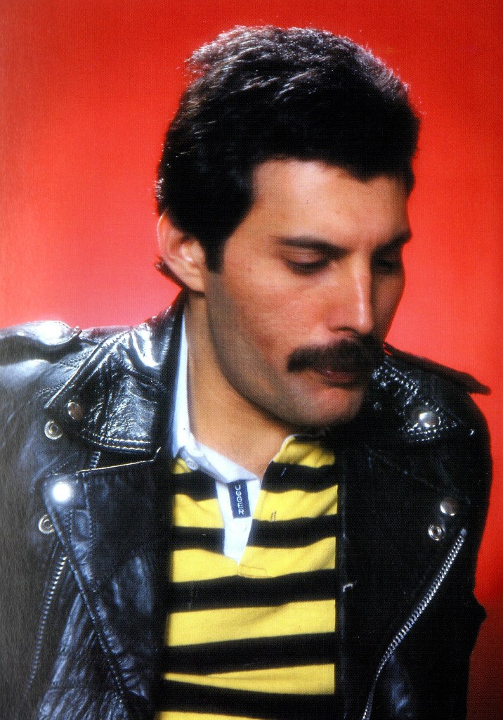 Freddie Mercury photo #588319