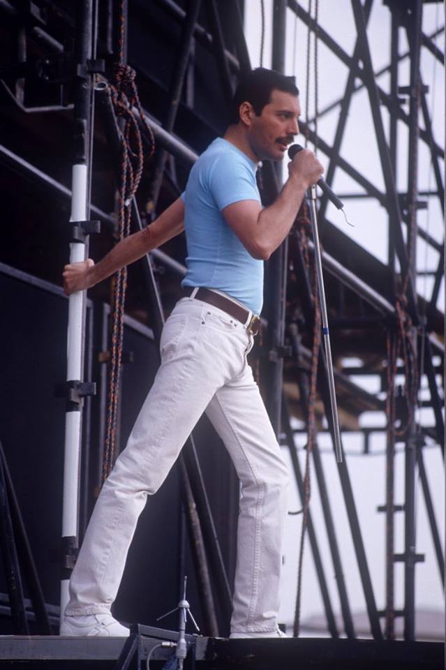 Freddie Mercury photo #599172