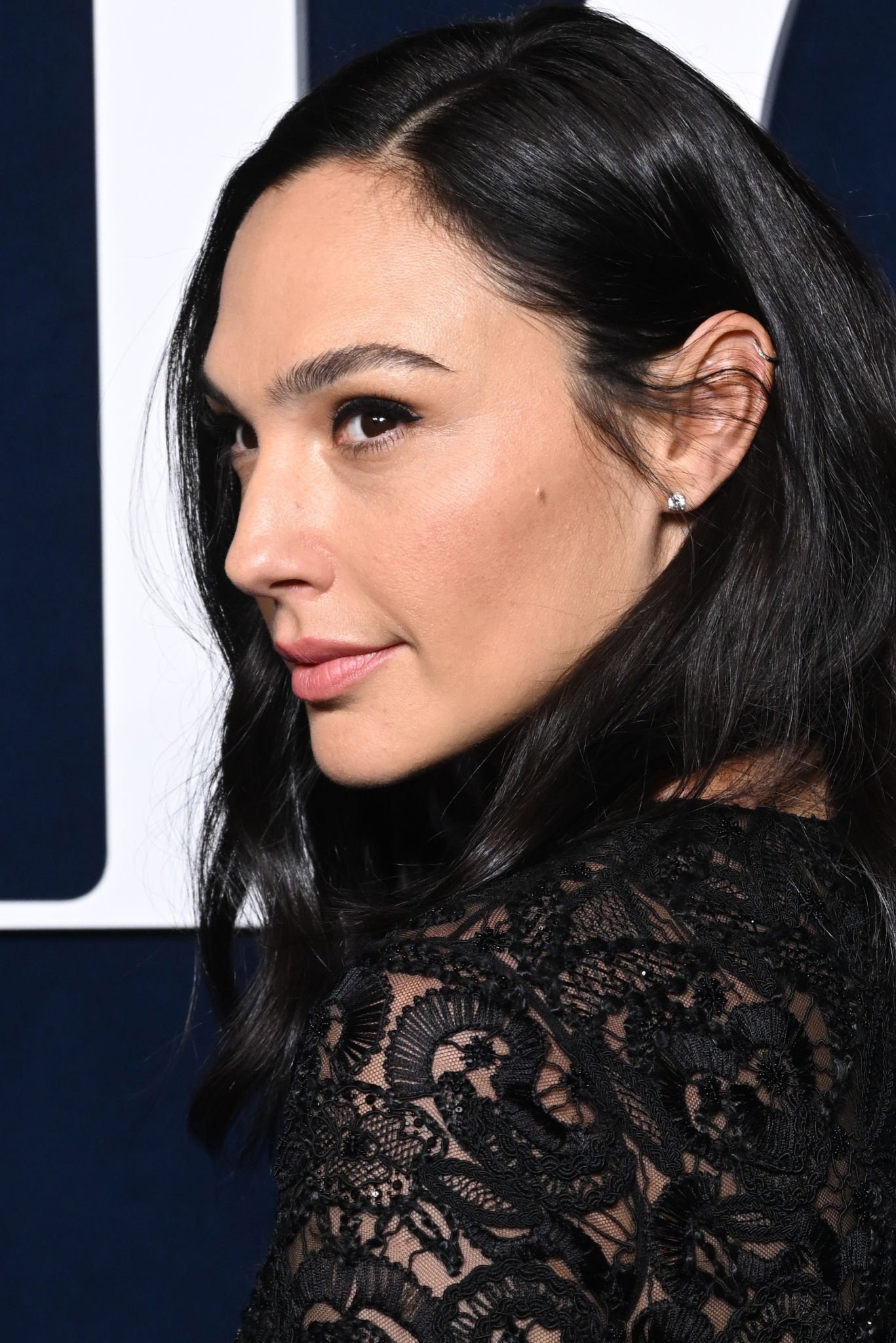 Gal Gadot photo #1047969