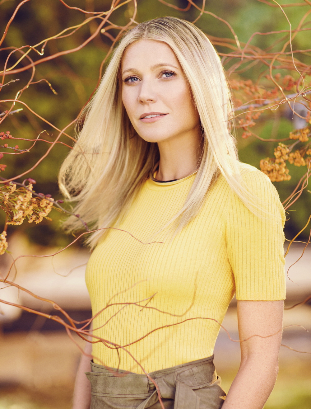 Gwyneth Paltrow photo #751146