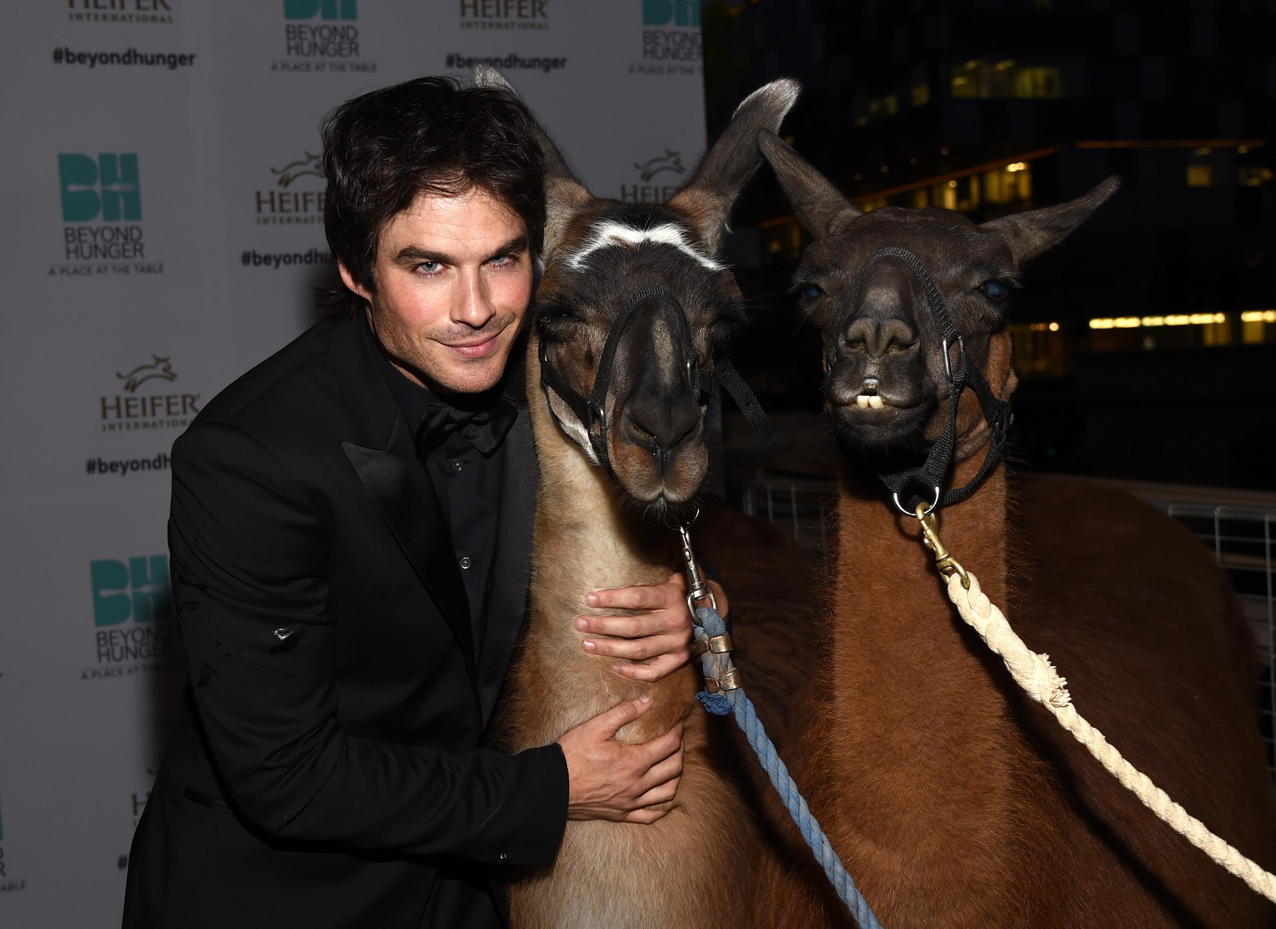 Ian Somerhalder photo #611351