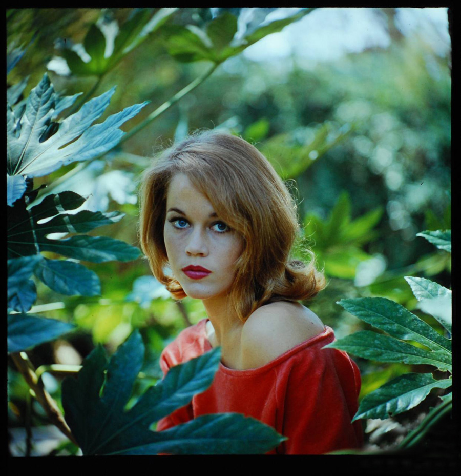 Jane Fonda photo #93098