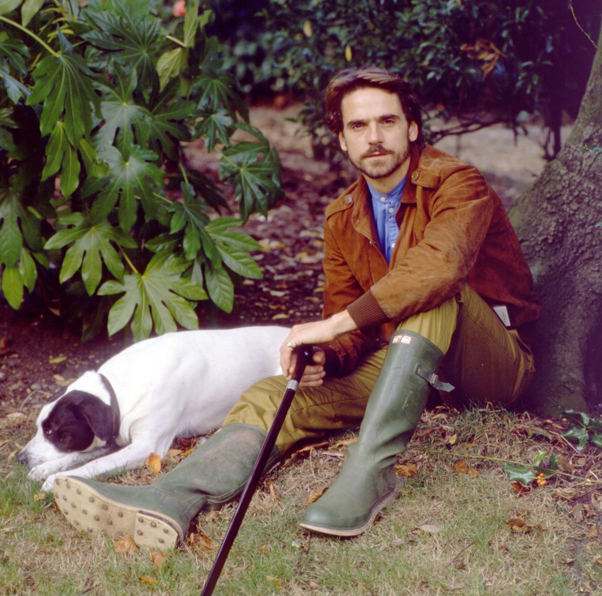 Jeremy Irons photo #1041321