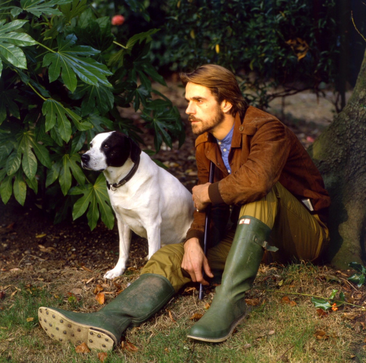 Jeremy Irons photo #1041322