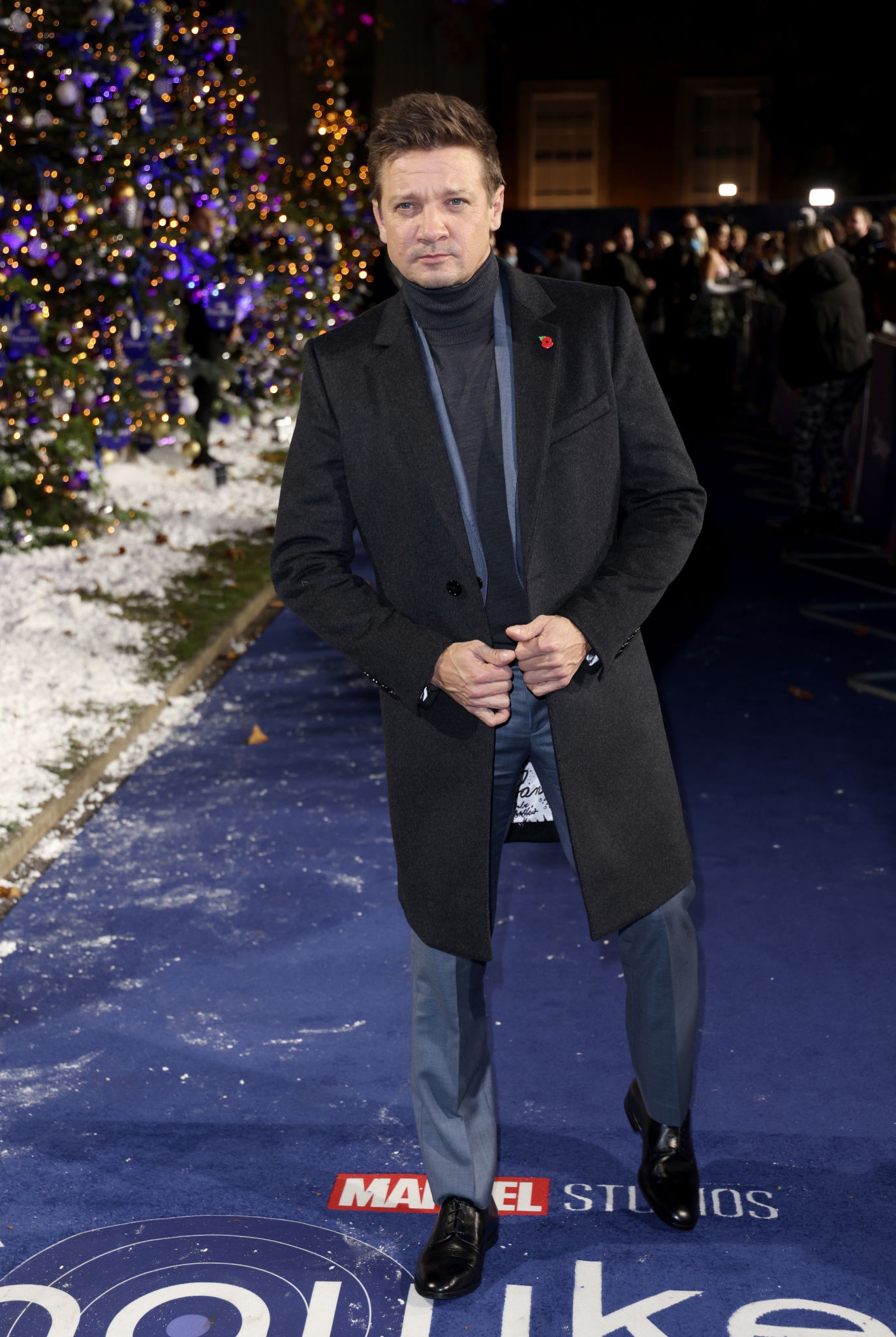 Jeremy Renner photo #1006622