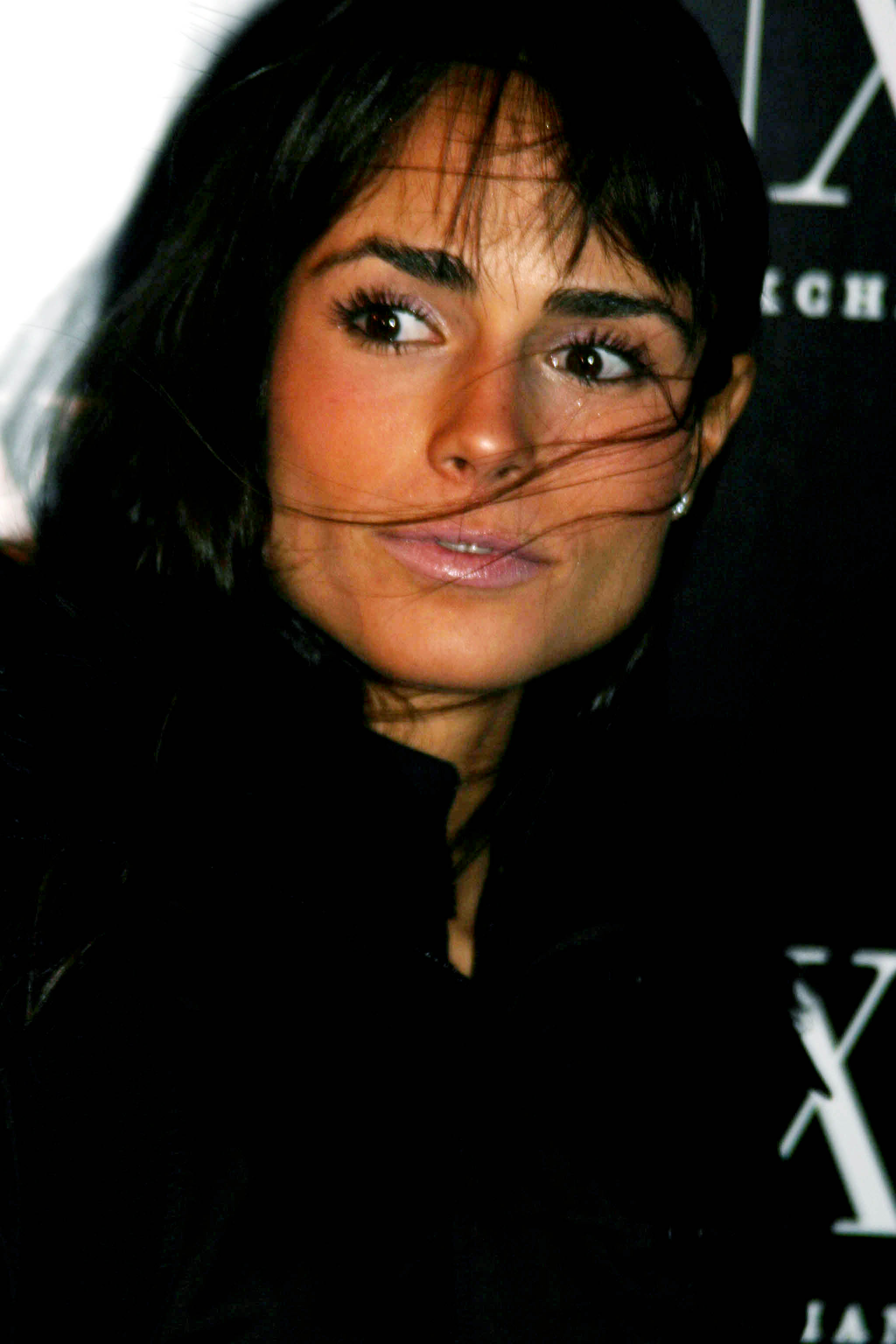 Jordana Brewster photo #41424