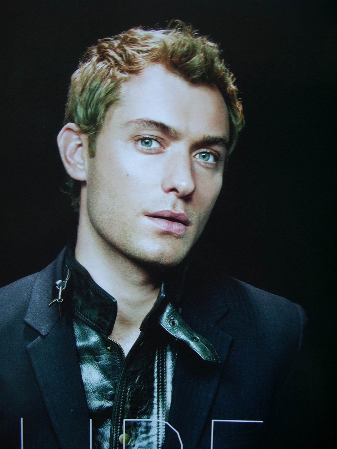 Jude Law photo #12619