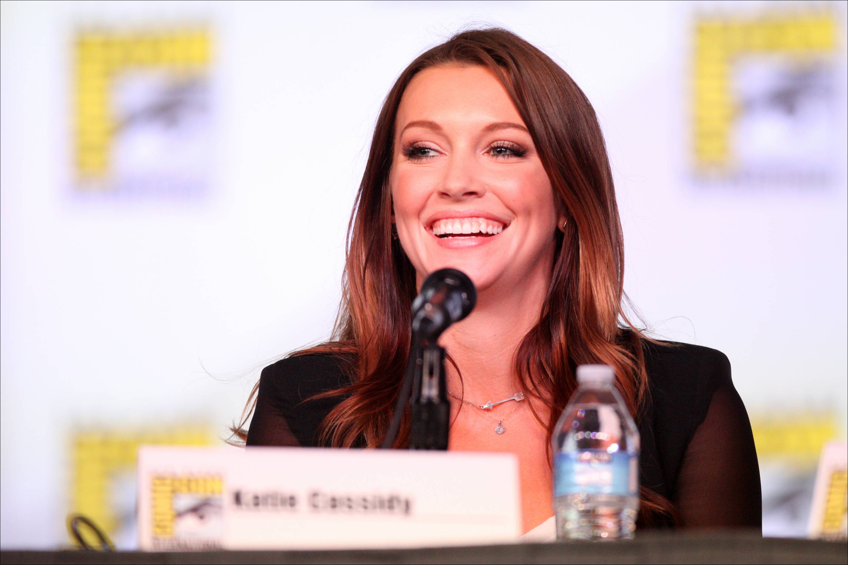 Katie Cassidy photo #410097