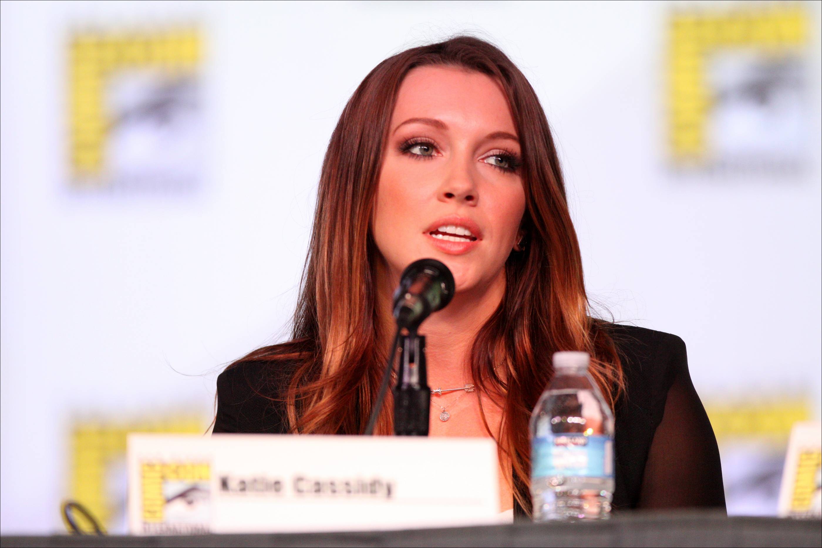 Katie Cassidy photo #410096