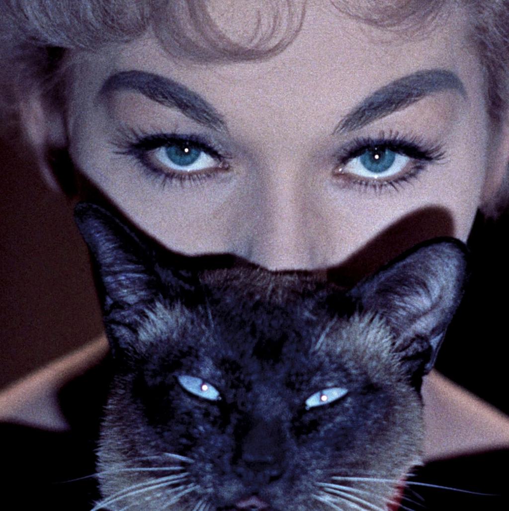 Kim Novak photo #984348