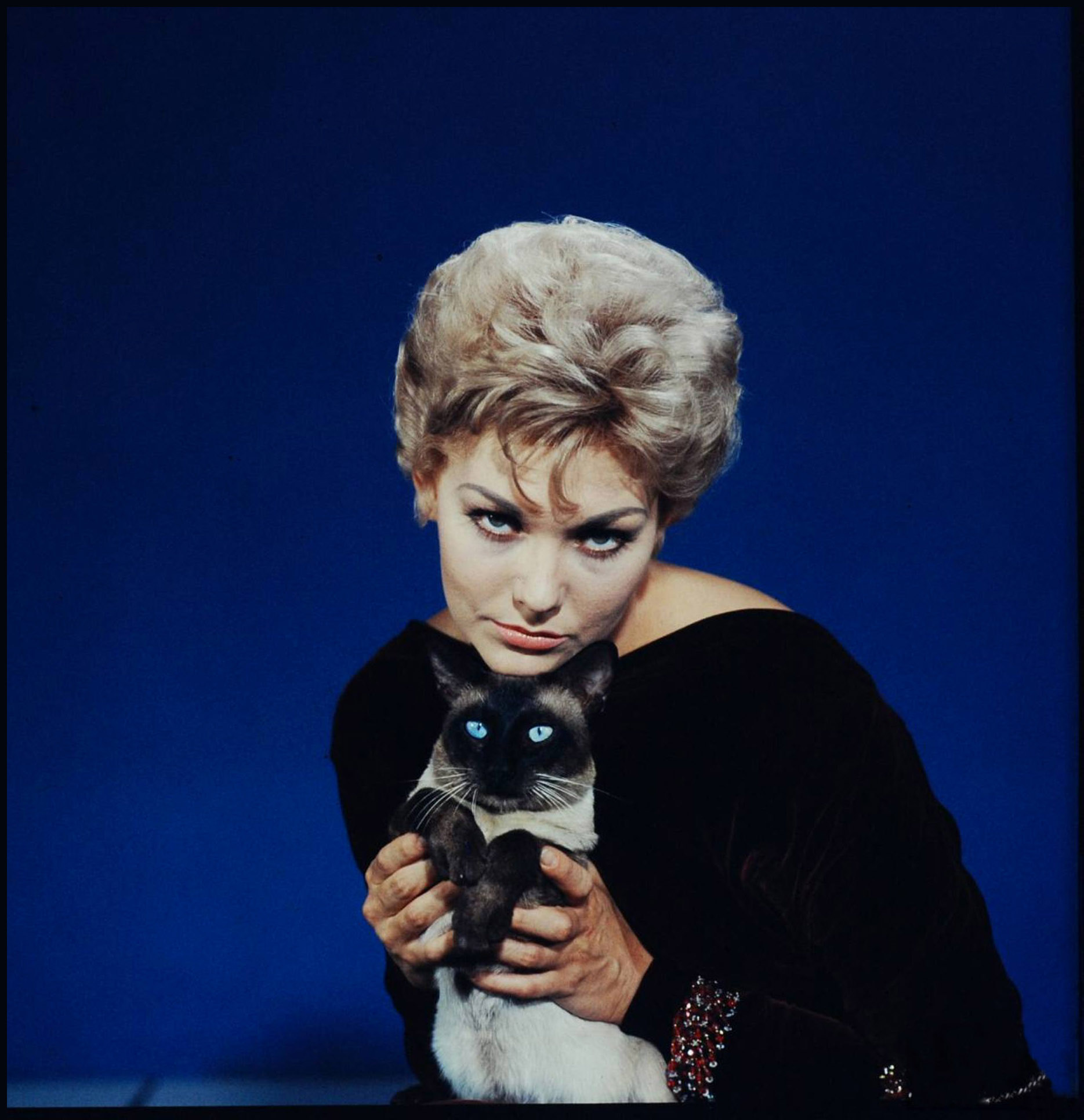 Kim Novak photo #206619