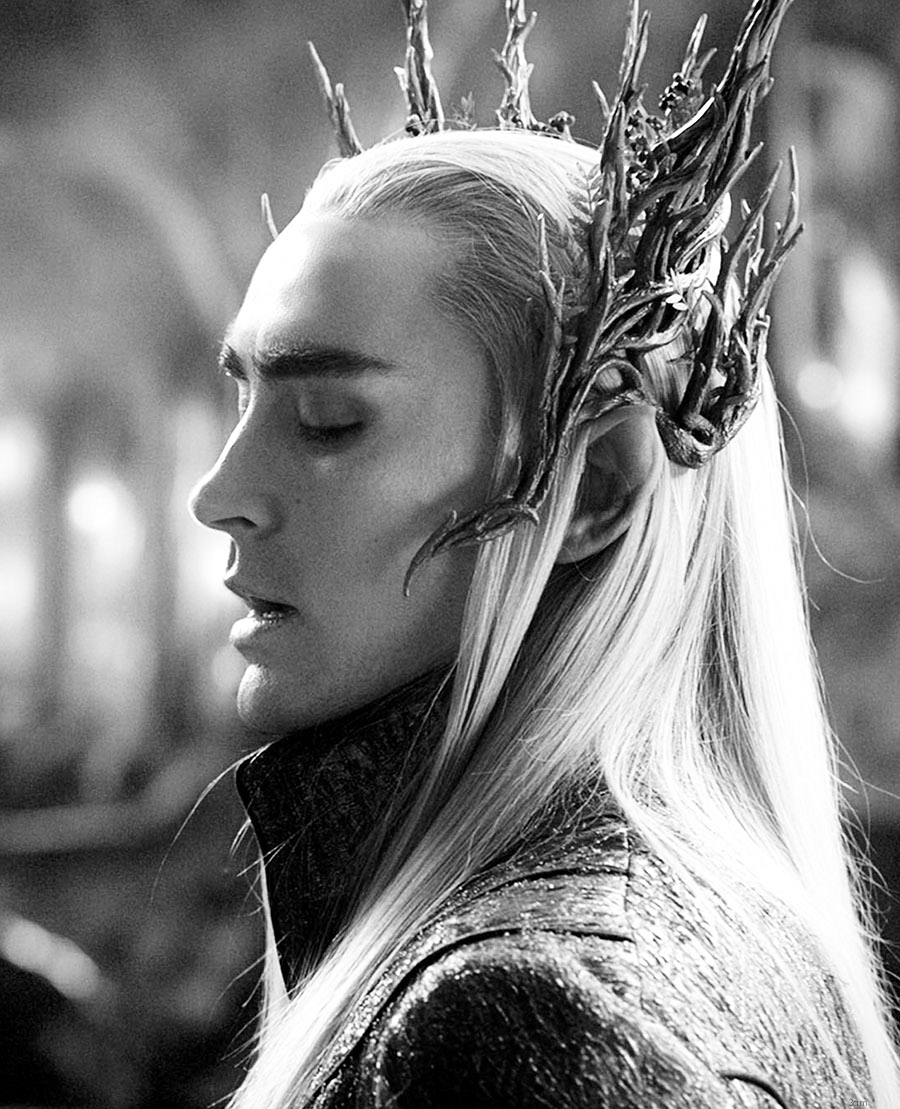 Lee Pace photo #568969