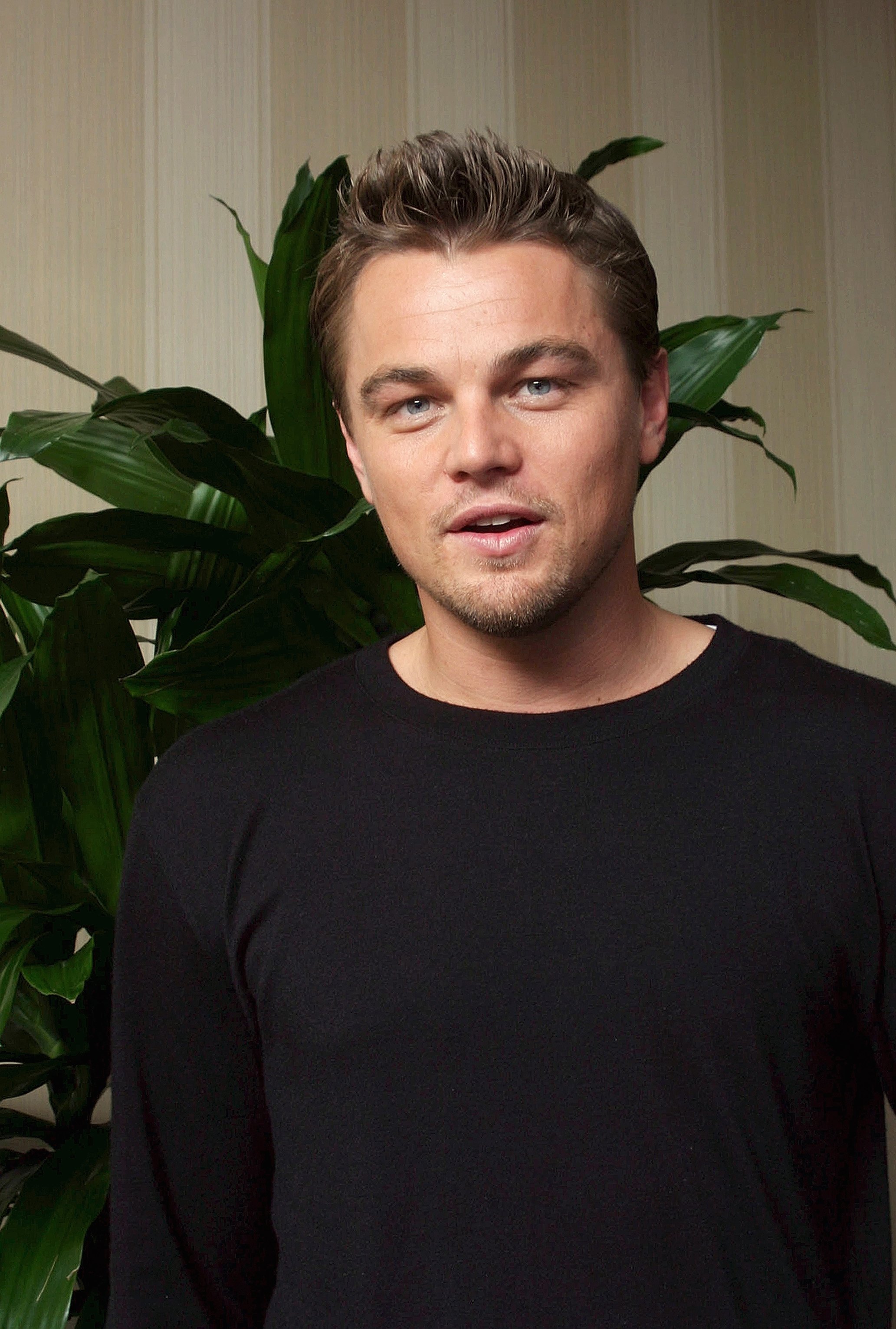 Leonardo DiCaprio photo #600803