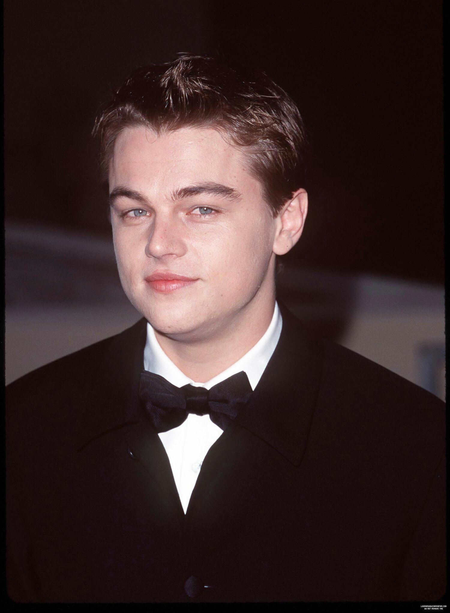 Leonardo DiCaprio photo #430795