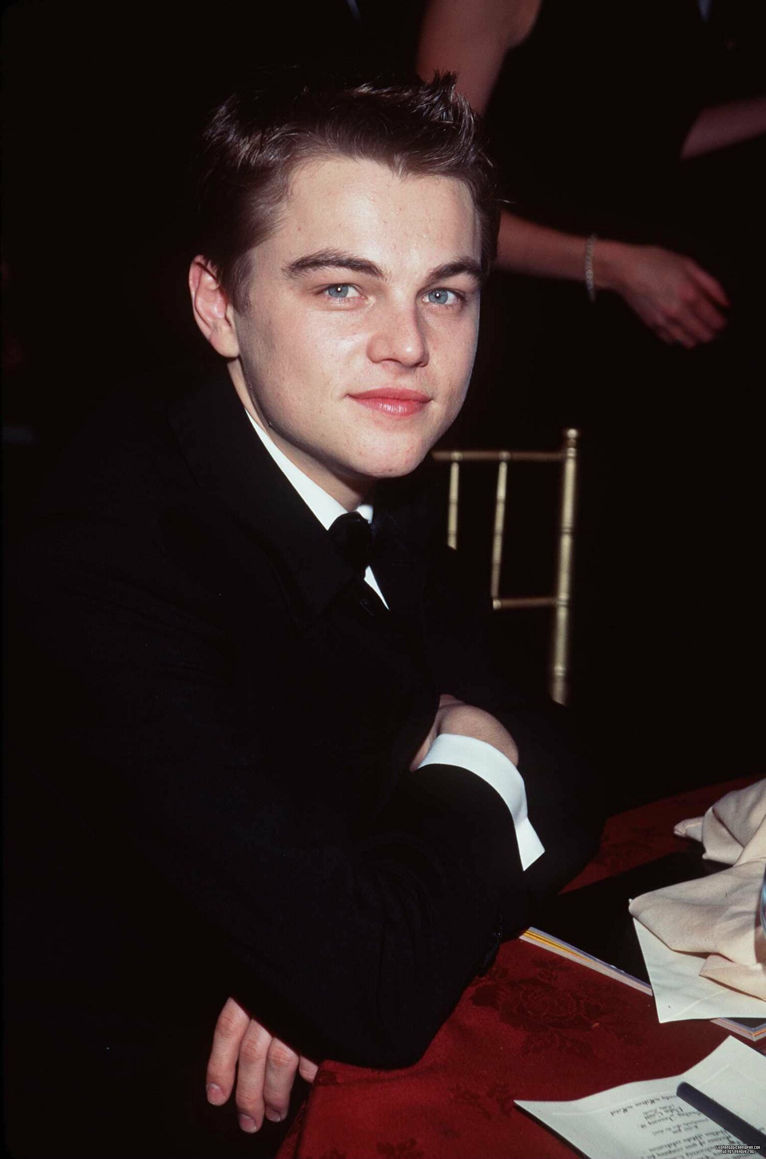 Leonardo DiCaprio photo #431480