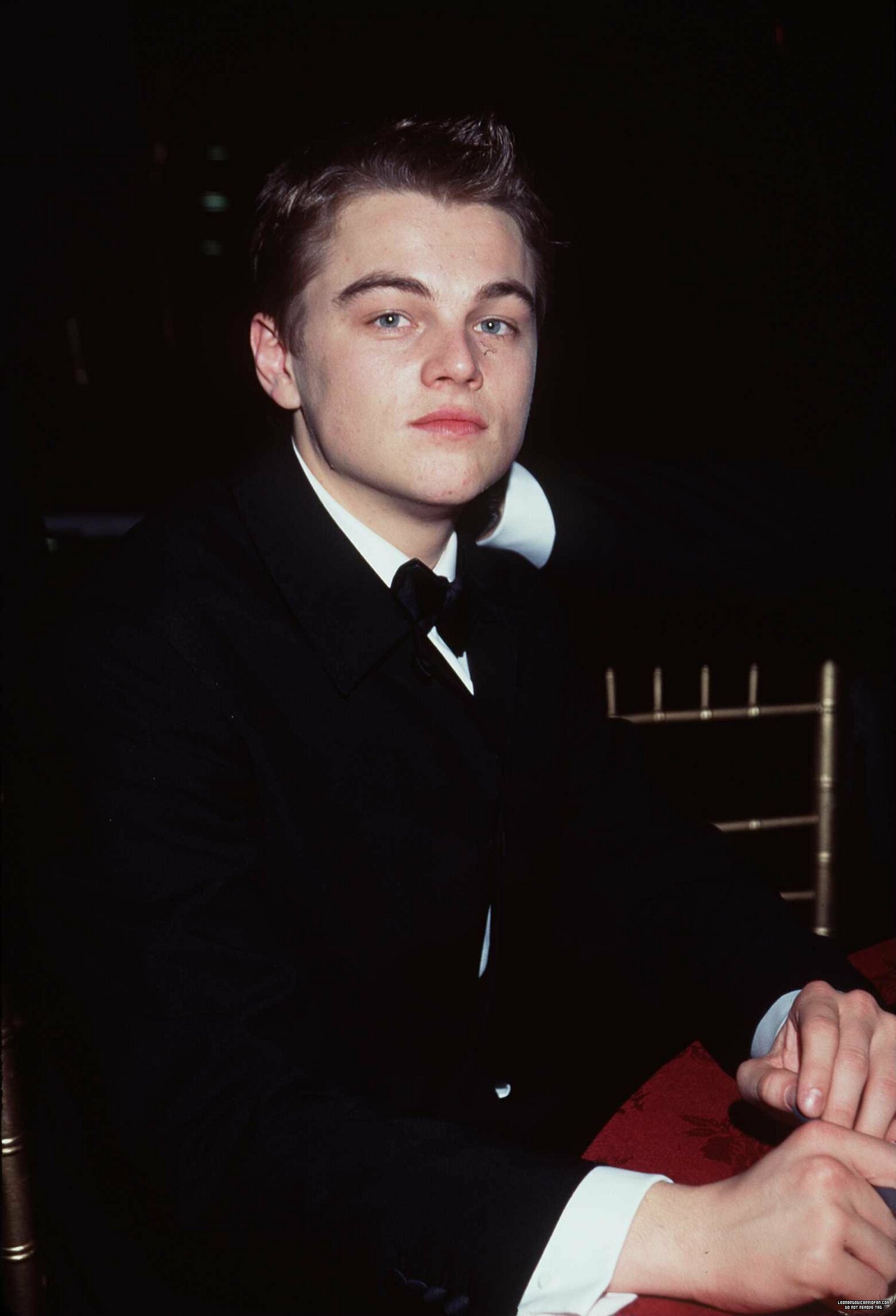 Leonardo DiCaprio photo #431484