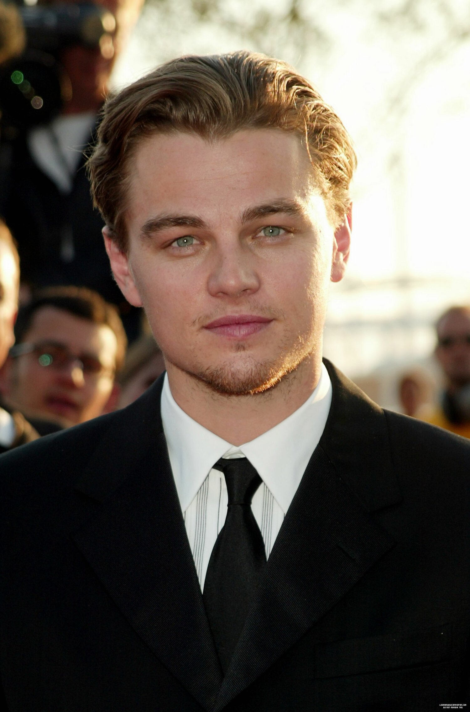 Leonardo DiCaprio photo #398932