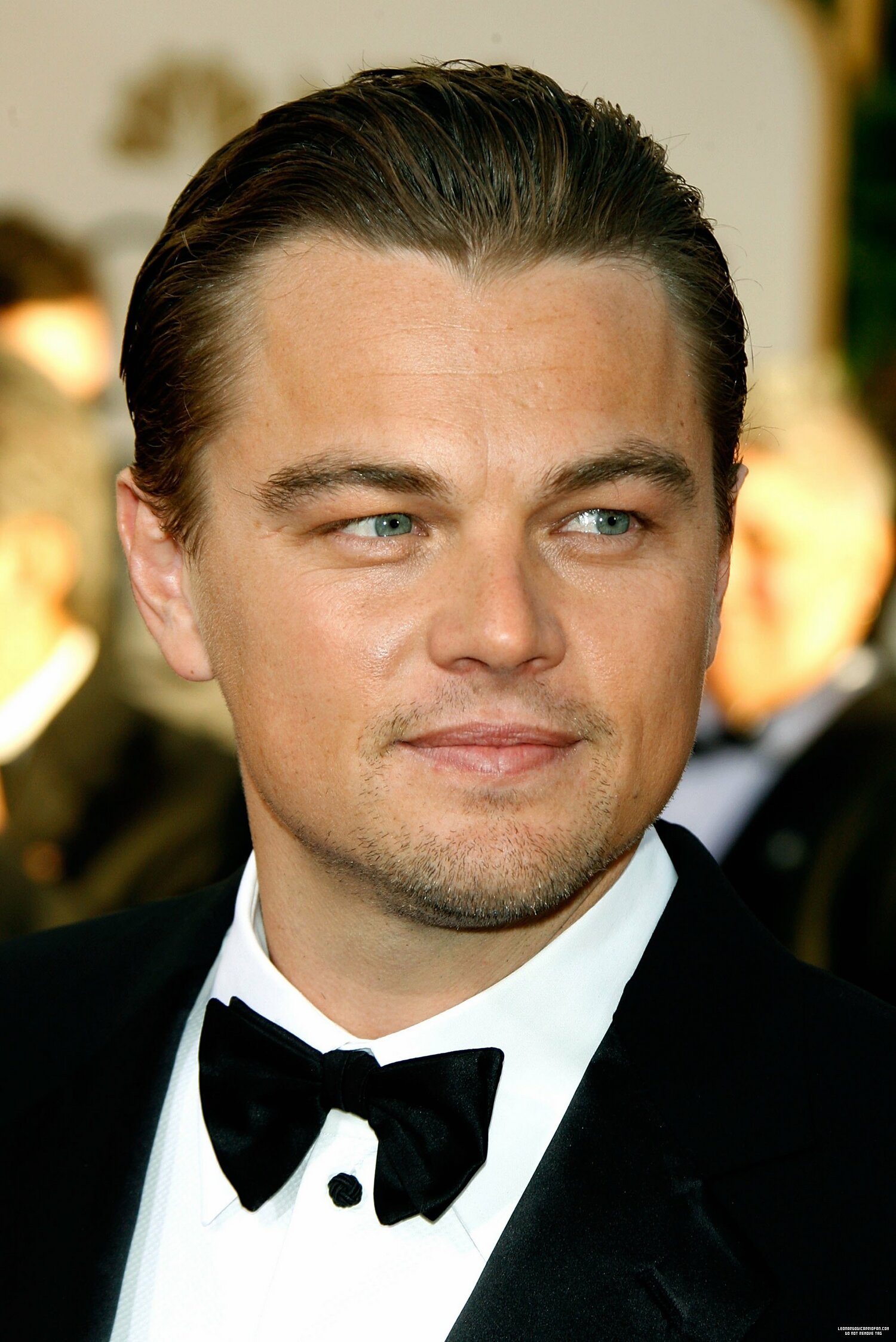 Leonardo DiCaprio photo #401091