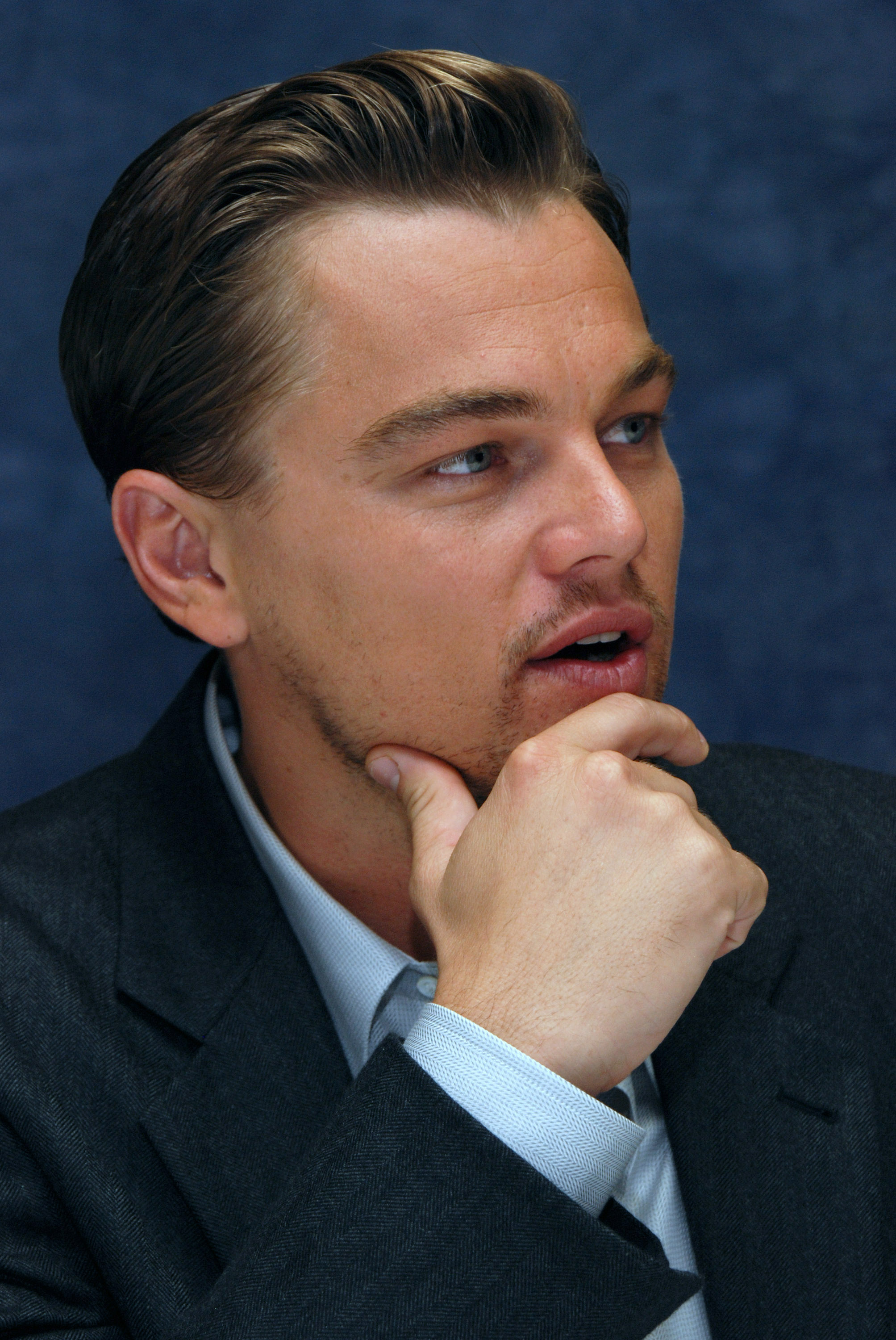 Leonardo DiCaprio photo #429713