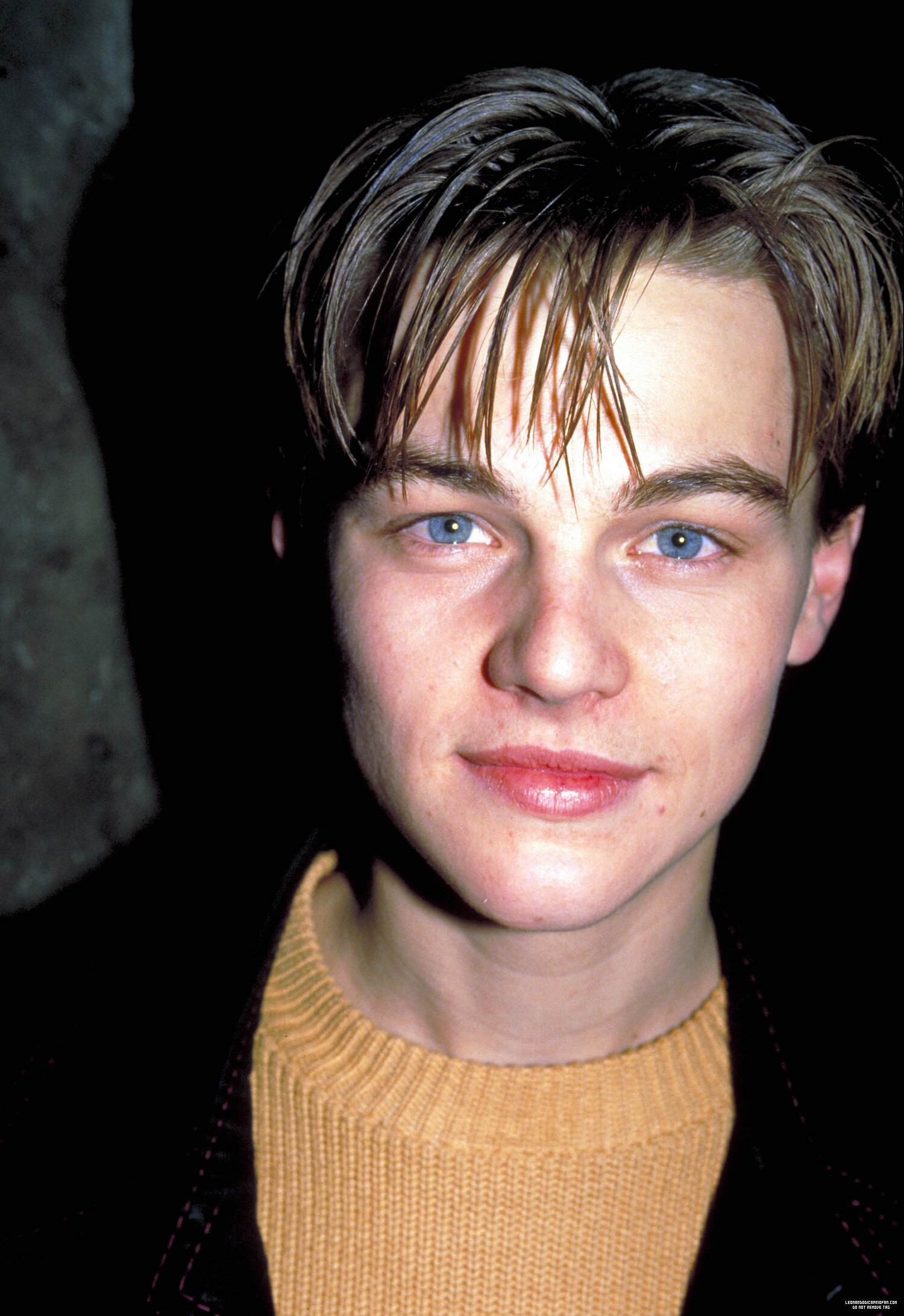 Leonardo DiCaprio photo #347647