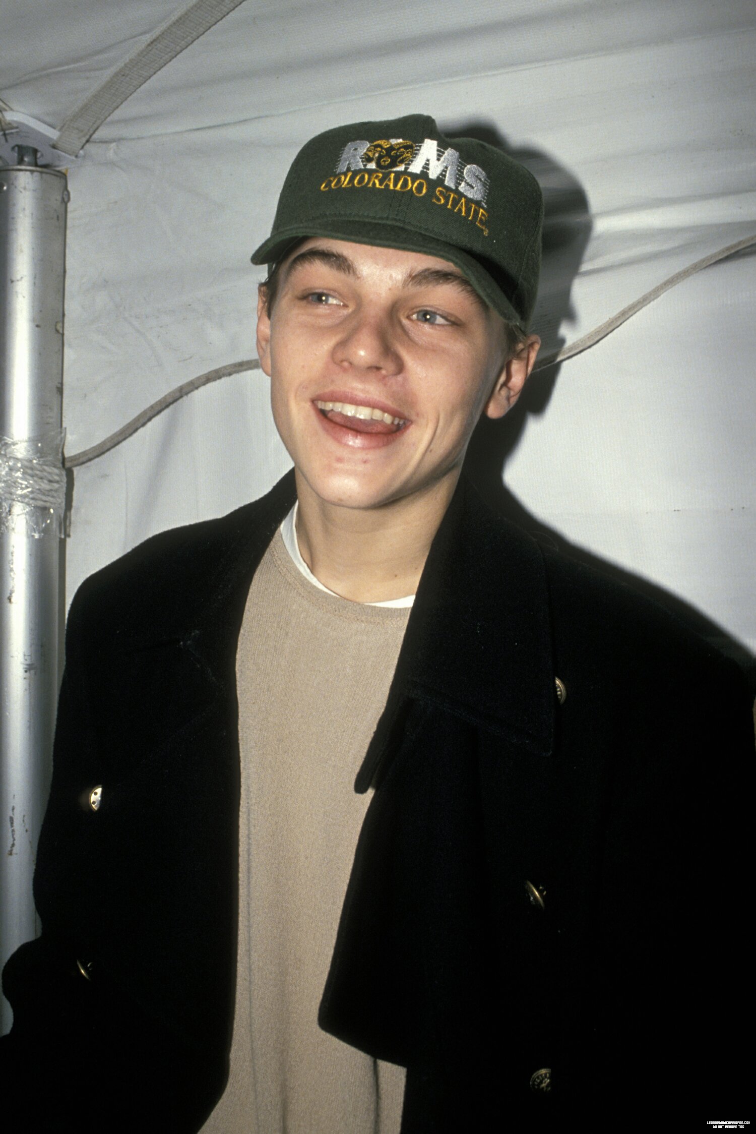 Leonardo DiCaprio photo #349200