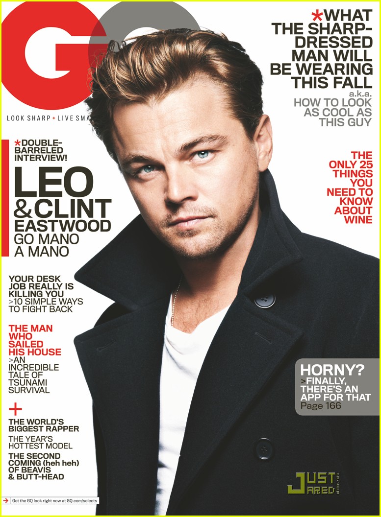 Leonardo DiCaprio photo #387842