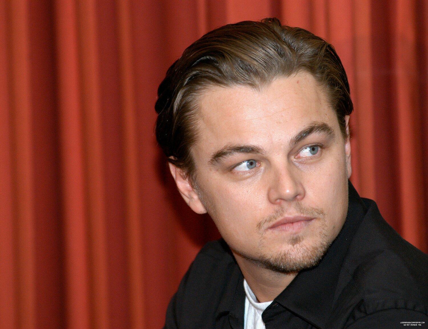 Leonardo DiCaprio photo #411781