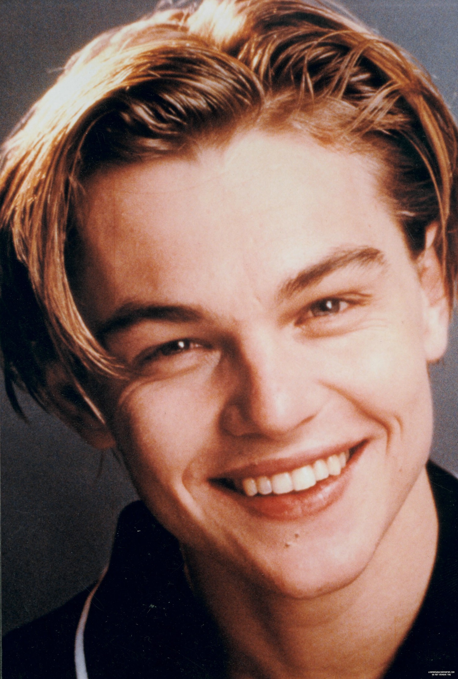 Leonardo DiCaprio photo #440961