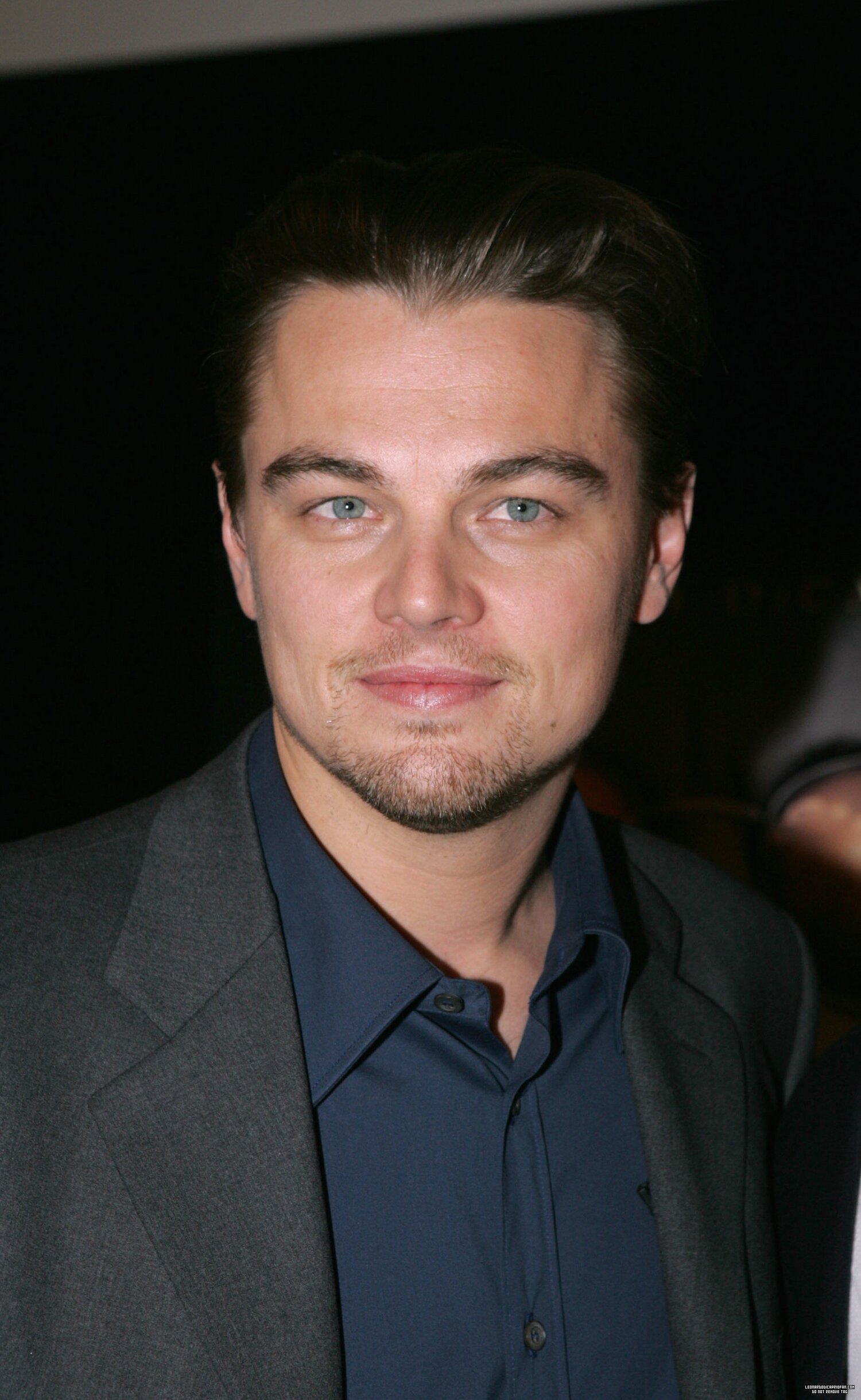 Leonardo DiCaprio photo #349954