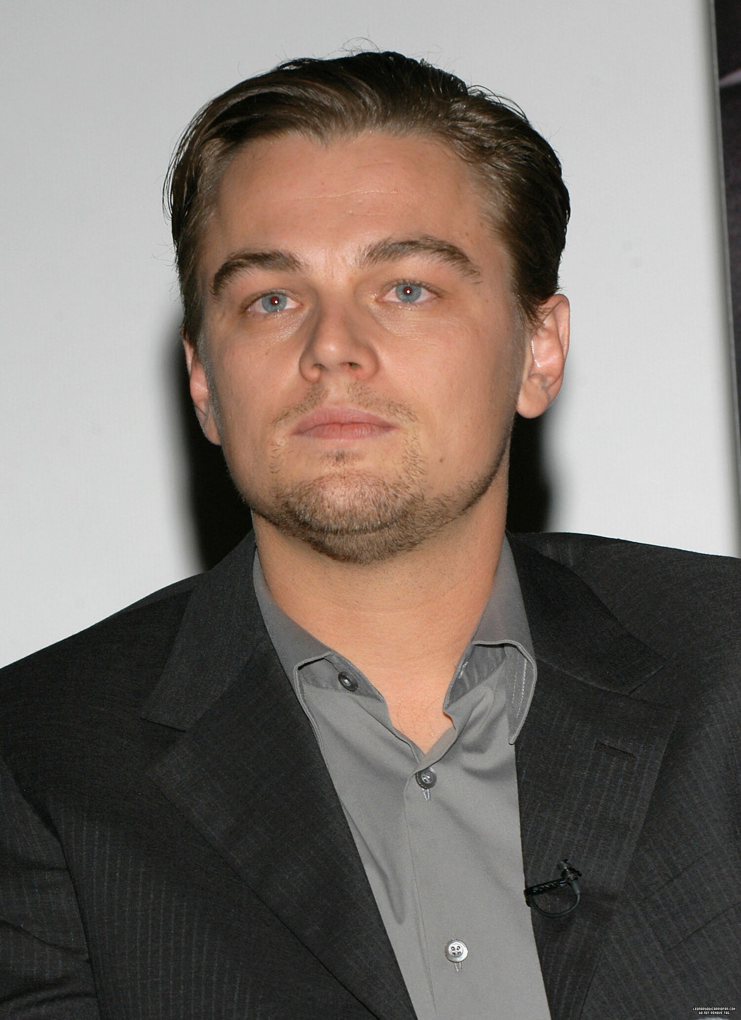 Leonardo DiCaprio photo #349952