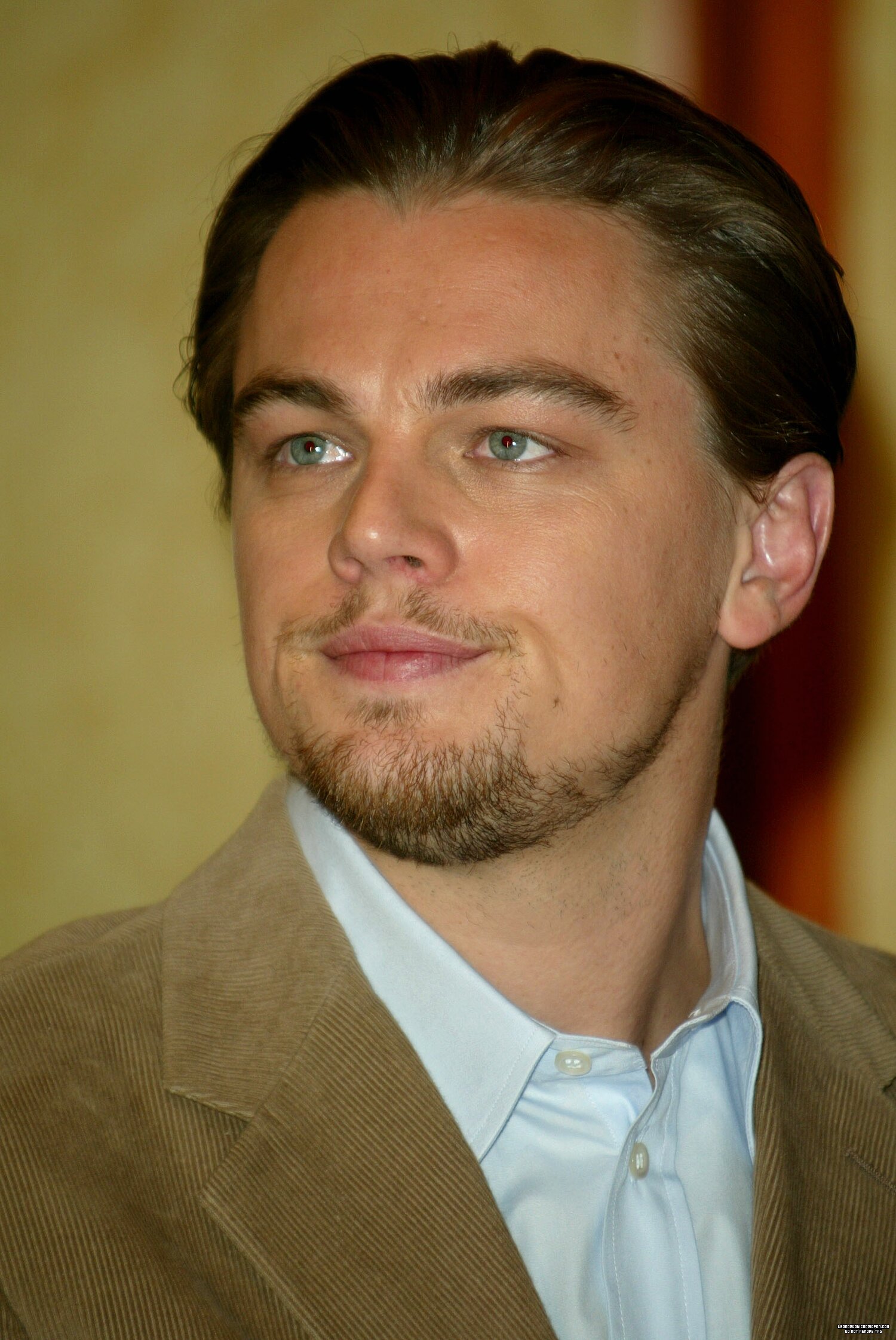 Leonardo DiCaprio photo #401086