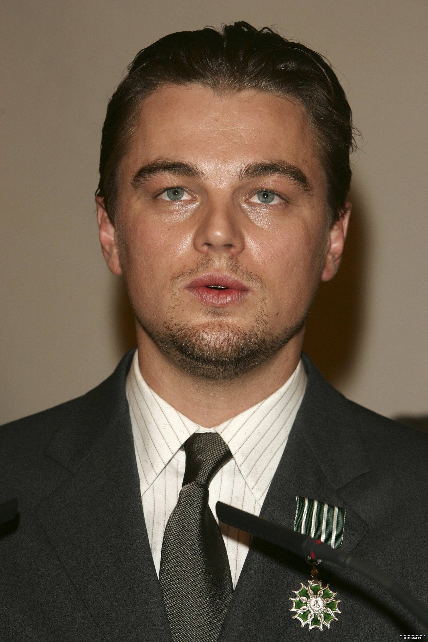 Leonardo DiCaprio photo #411784