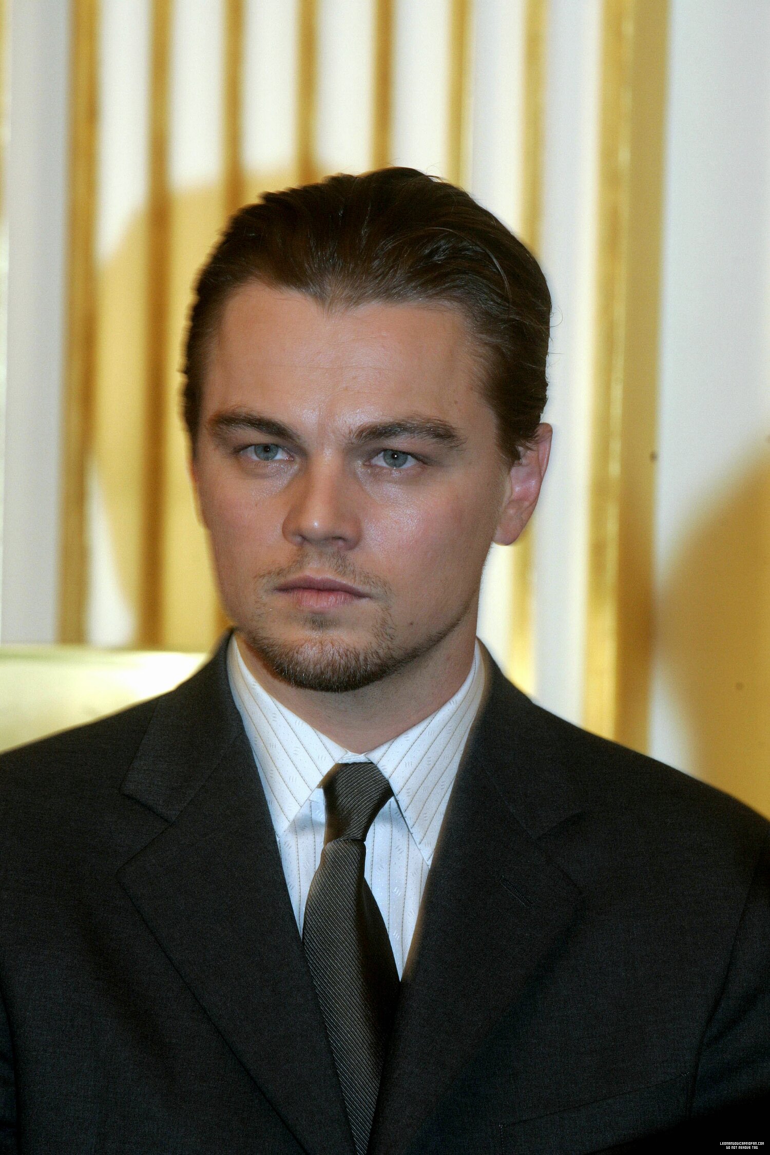 Leonardo DiCaprio photo #411783