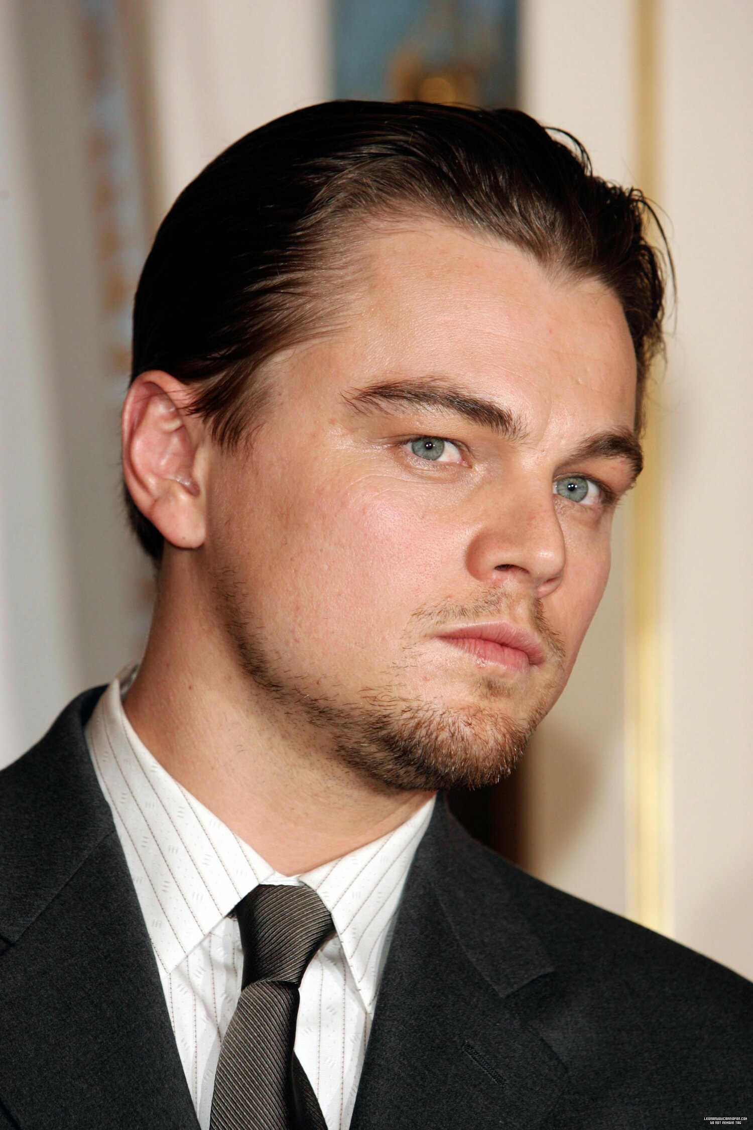 Leonardo DiCaprio photo #349201