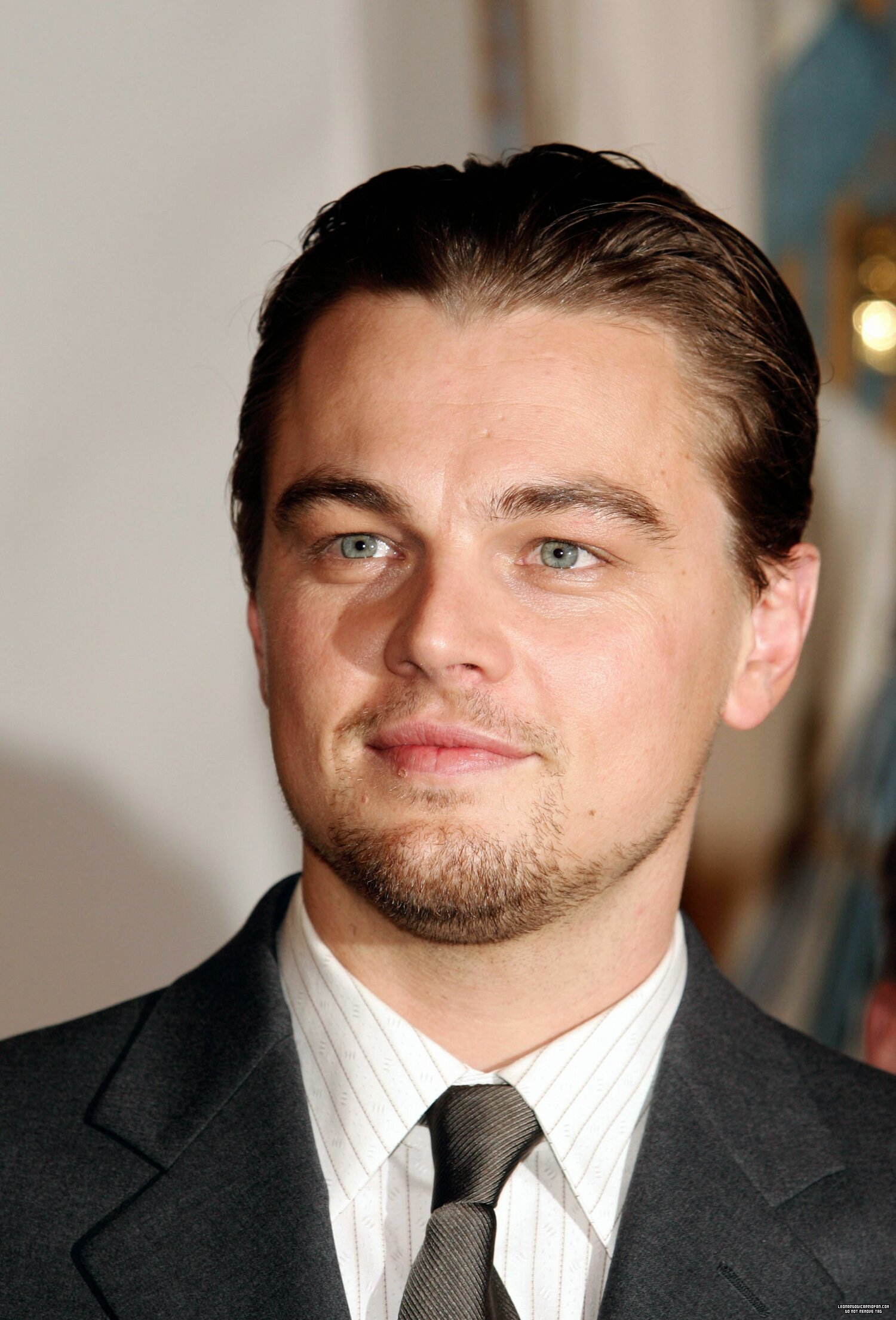 Leonardo DiCaprio photo #411785