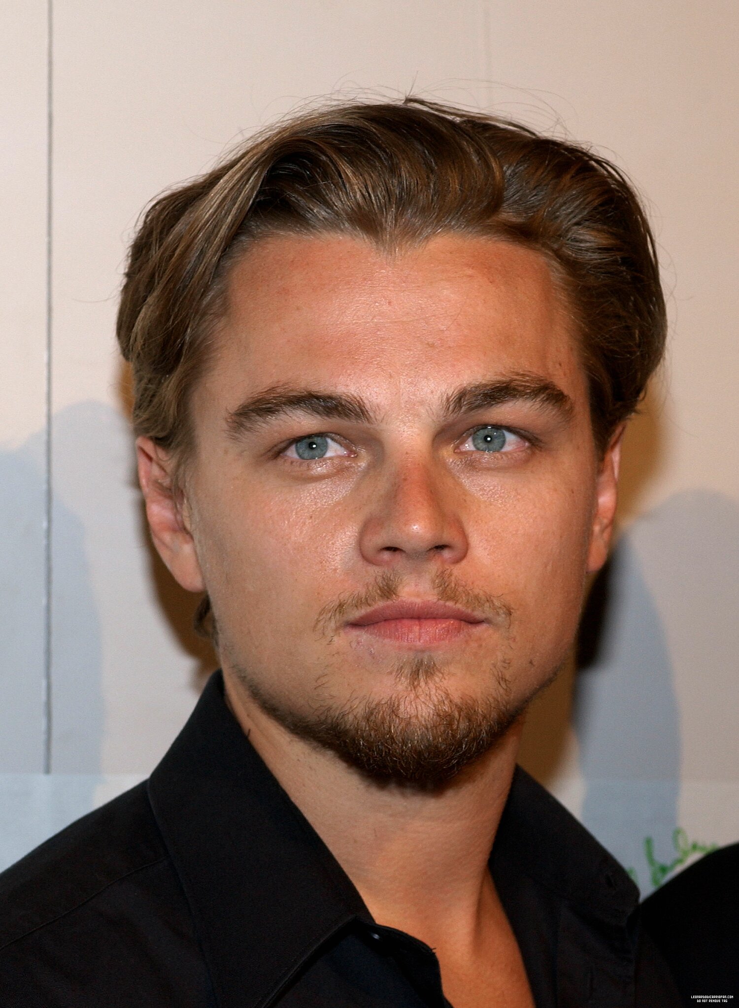 Leonardo DiCaprio photo #345641