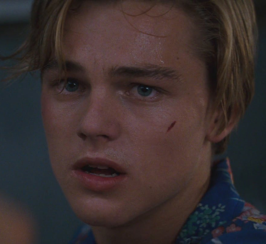 Leonardo DiCaprio photo #440960