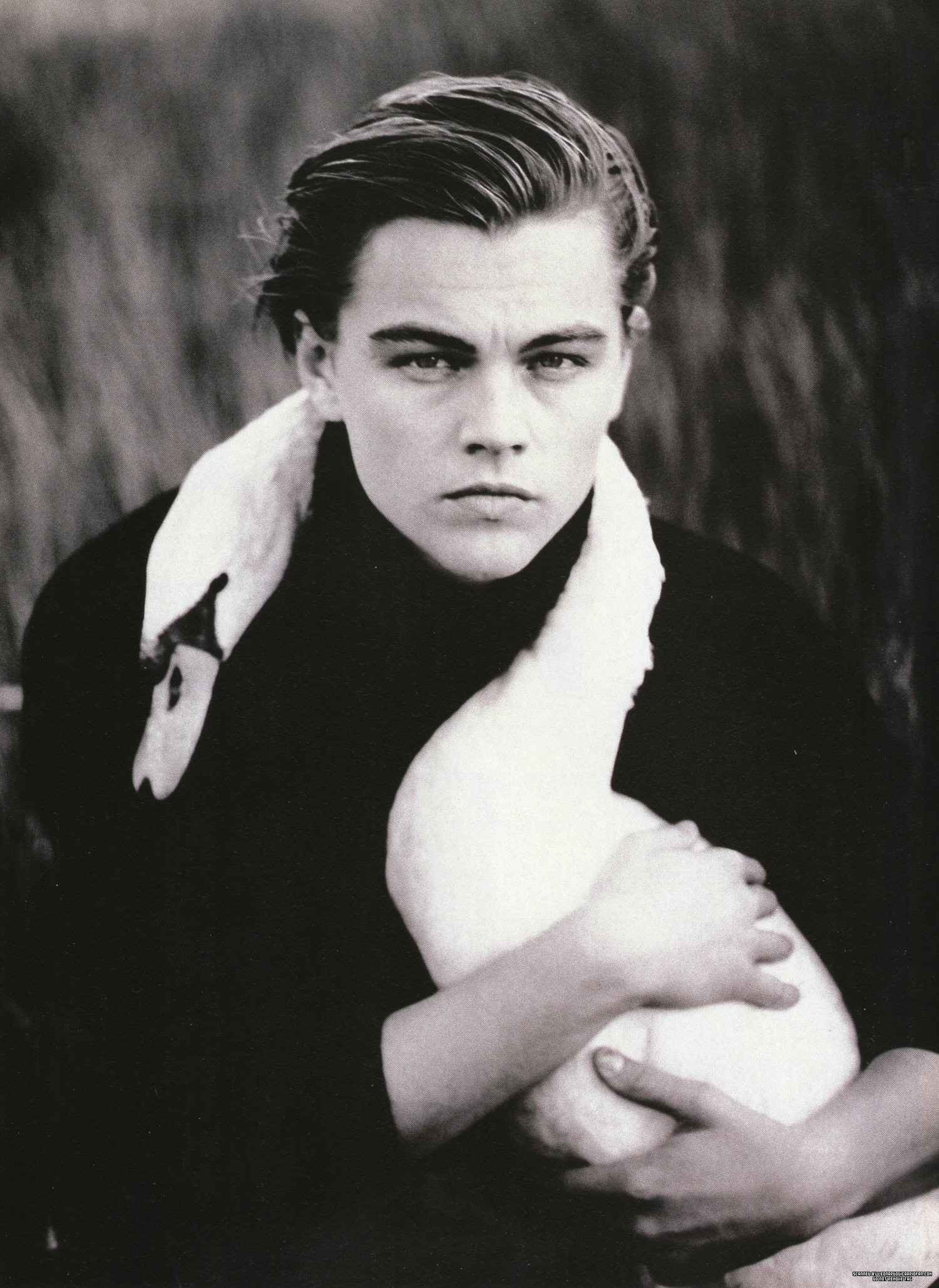 Leonardo DiCaprio photo #440966