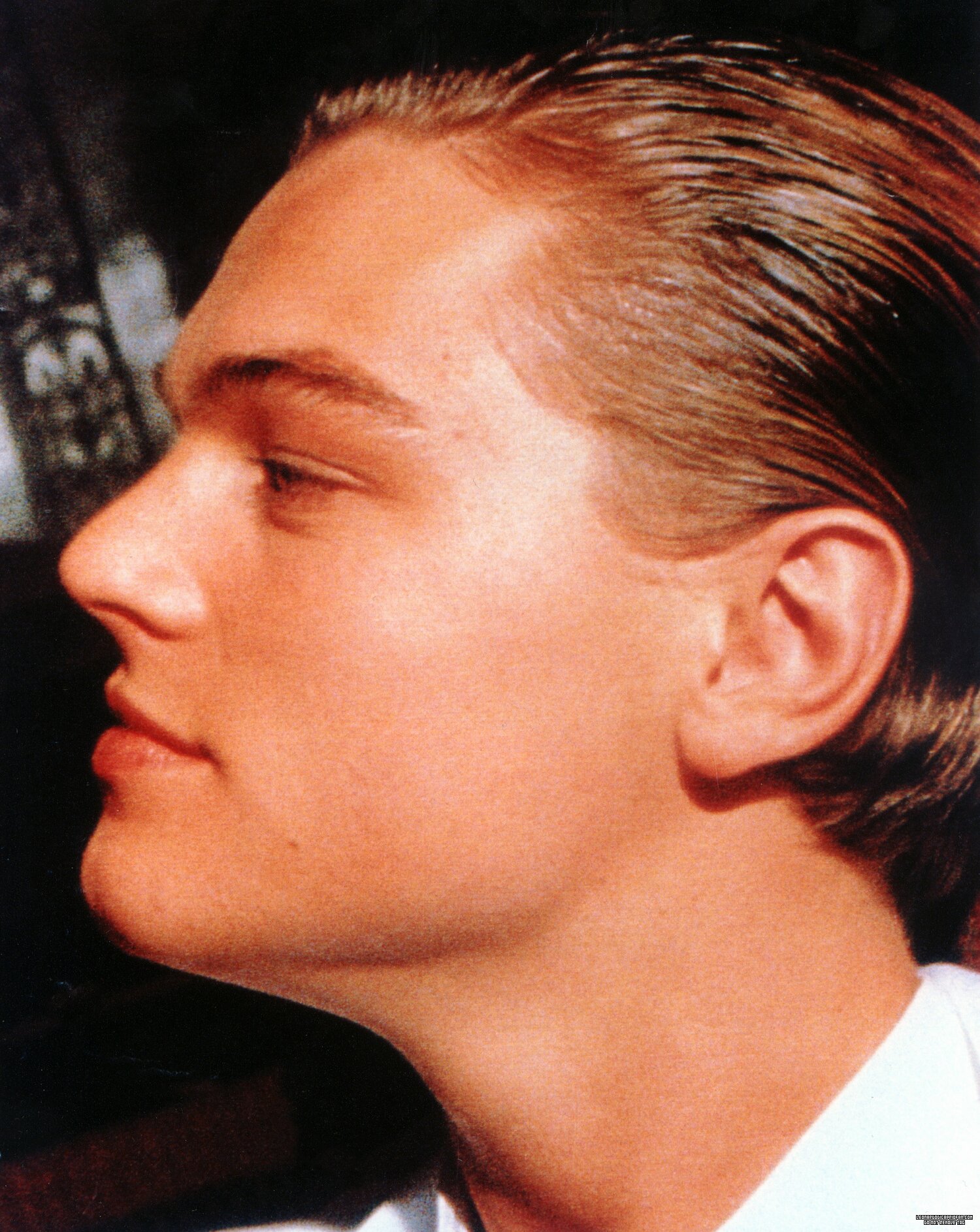 Leonardo DiCaprio photo #435851