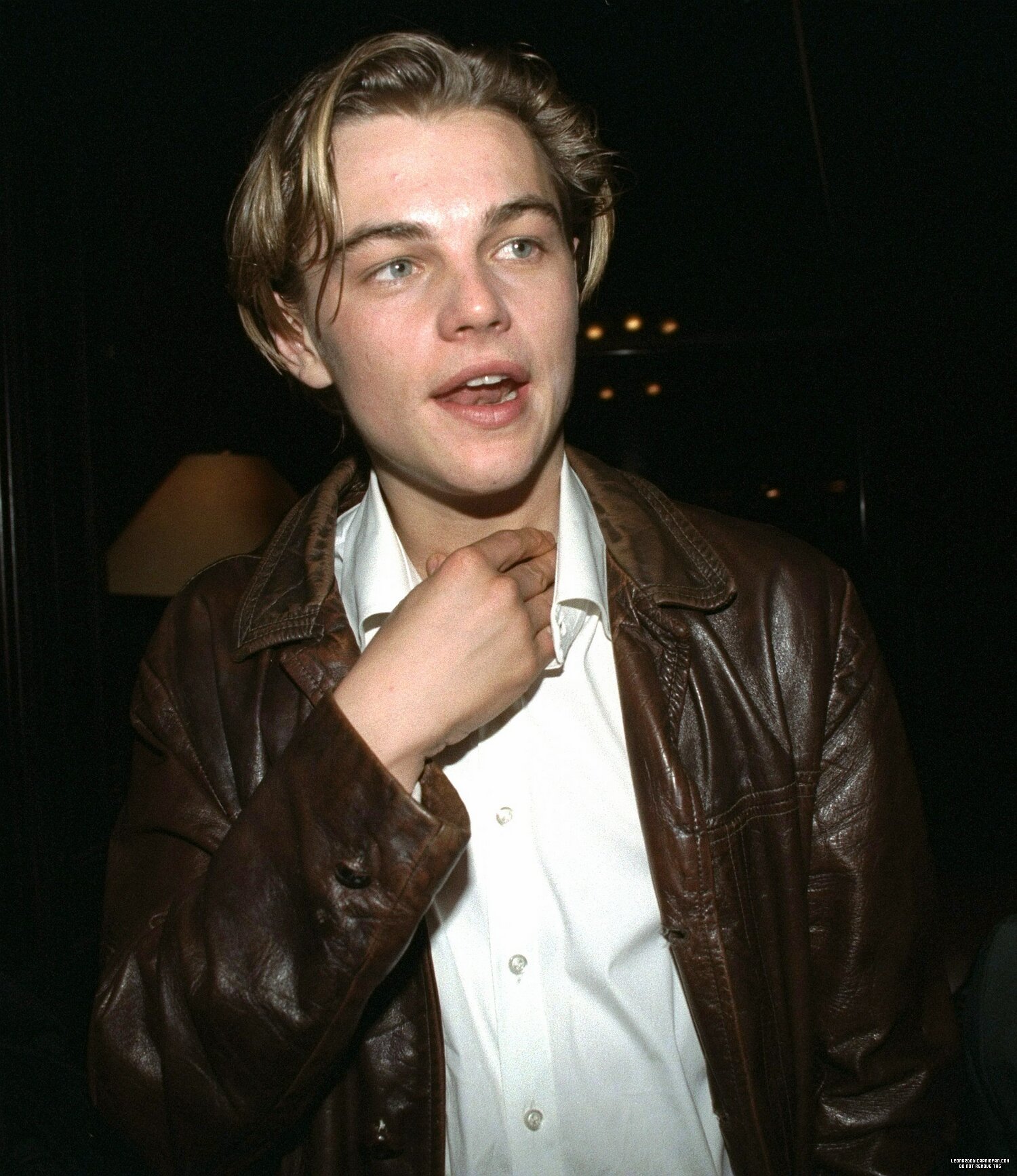 Leonardo DiCaprio photo #440367