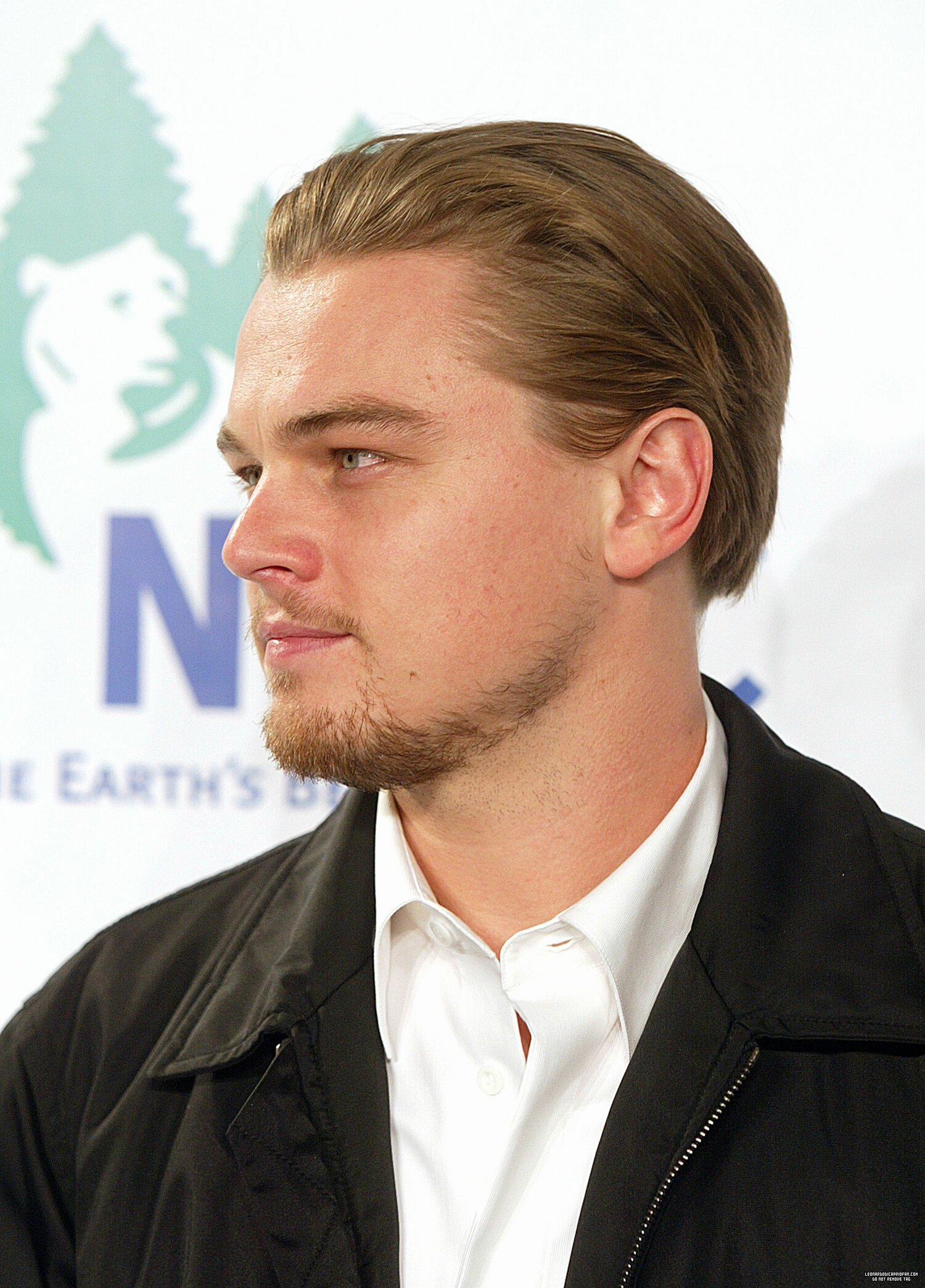 Leonardo DiCaprio photo #411782